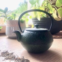 Tisane de plantes médicinales