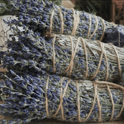 bâtons de fumigation