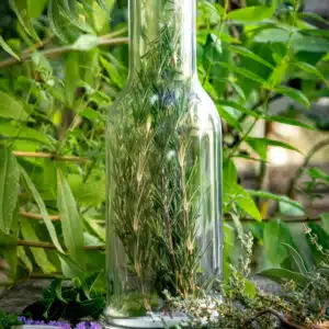 vinaigre aux plantes