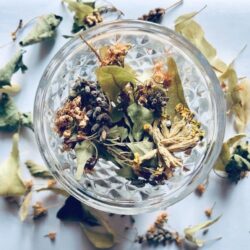 plantes pour règles douloureuses