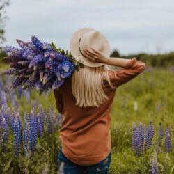 Cueillette de Plantes Sauvages - Les dérives