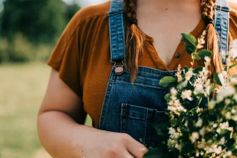 Cueillette de plantes sauvages